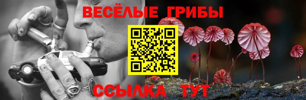 Тельмана  Псилоцибиновые грибы Magic Shrooms  Вход с VPN  Галлюциногенные грибы Cubensis 